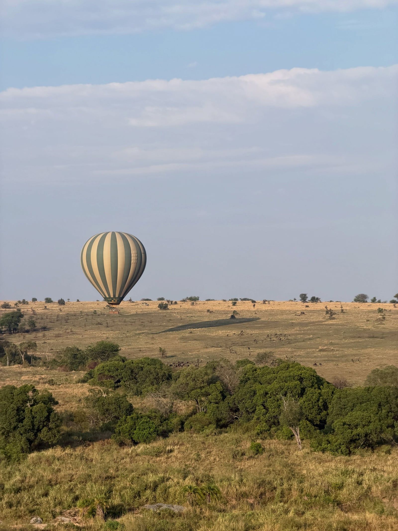 Serengeti-Nationalpark Ansicht