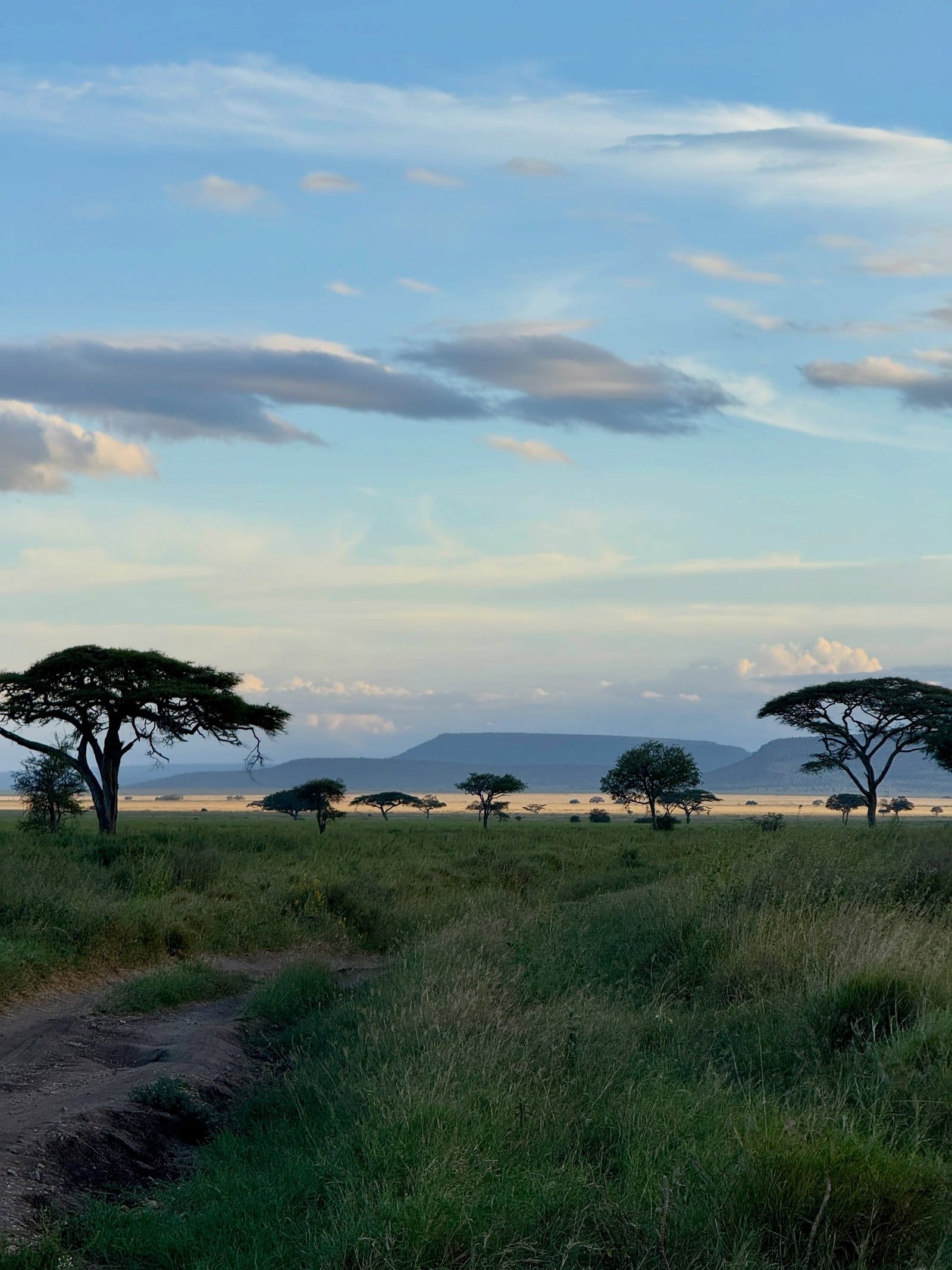 Serengeti-Nationalpark Ansicht
