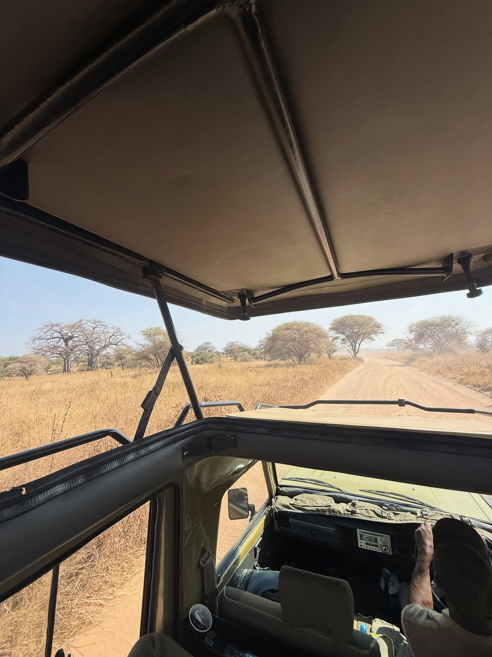 Serengeti-Nationalpark Tour-Besucherfoto