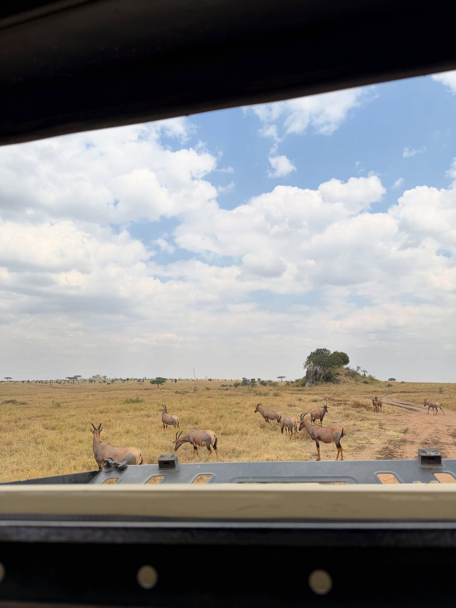 Serengeti-Nationalpark Tour-Besucherfoto